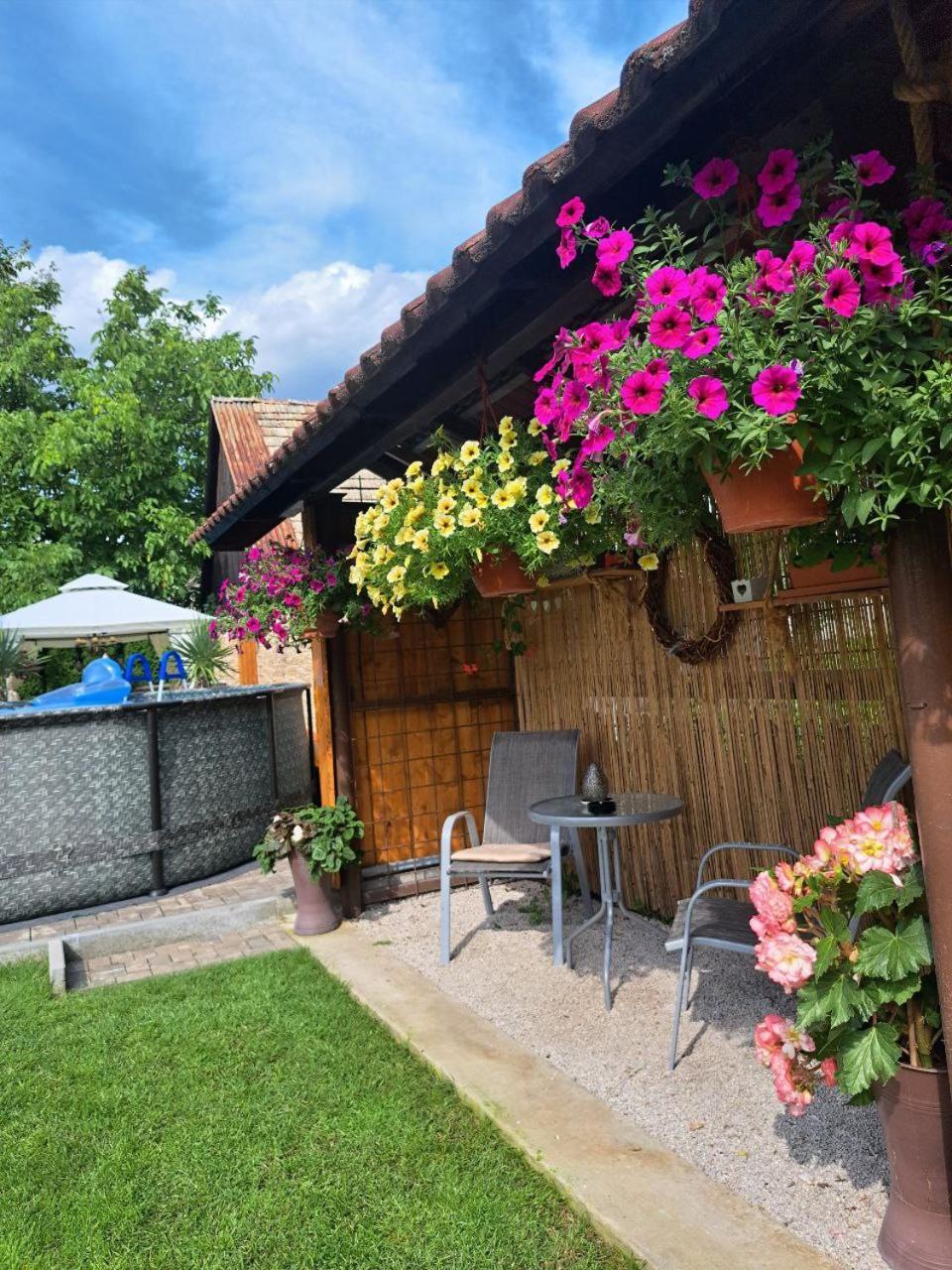 Vila Harmonia Turcianske Teplice Exterior photo